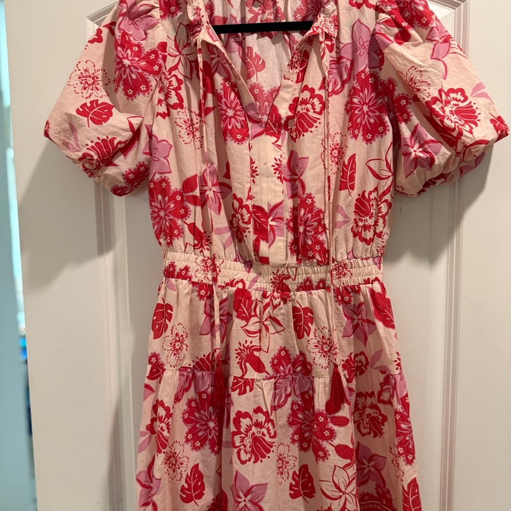 Mini Floral Red and Pink short sleeve dress